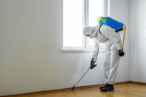 Emergency Pest Control Services in Babbitt, MN